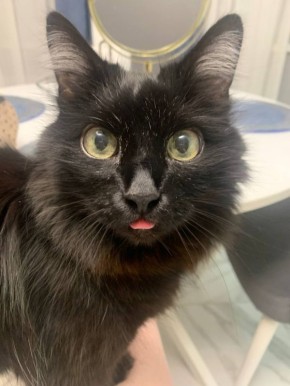 Сегодня - 1 ноября, суббота