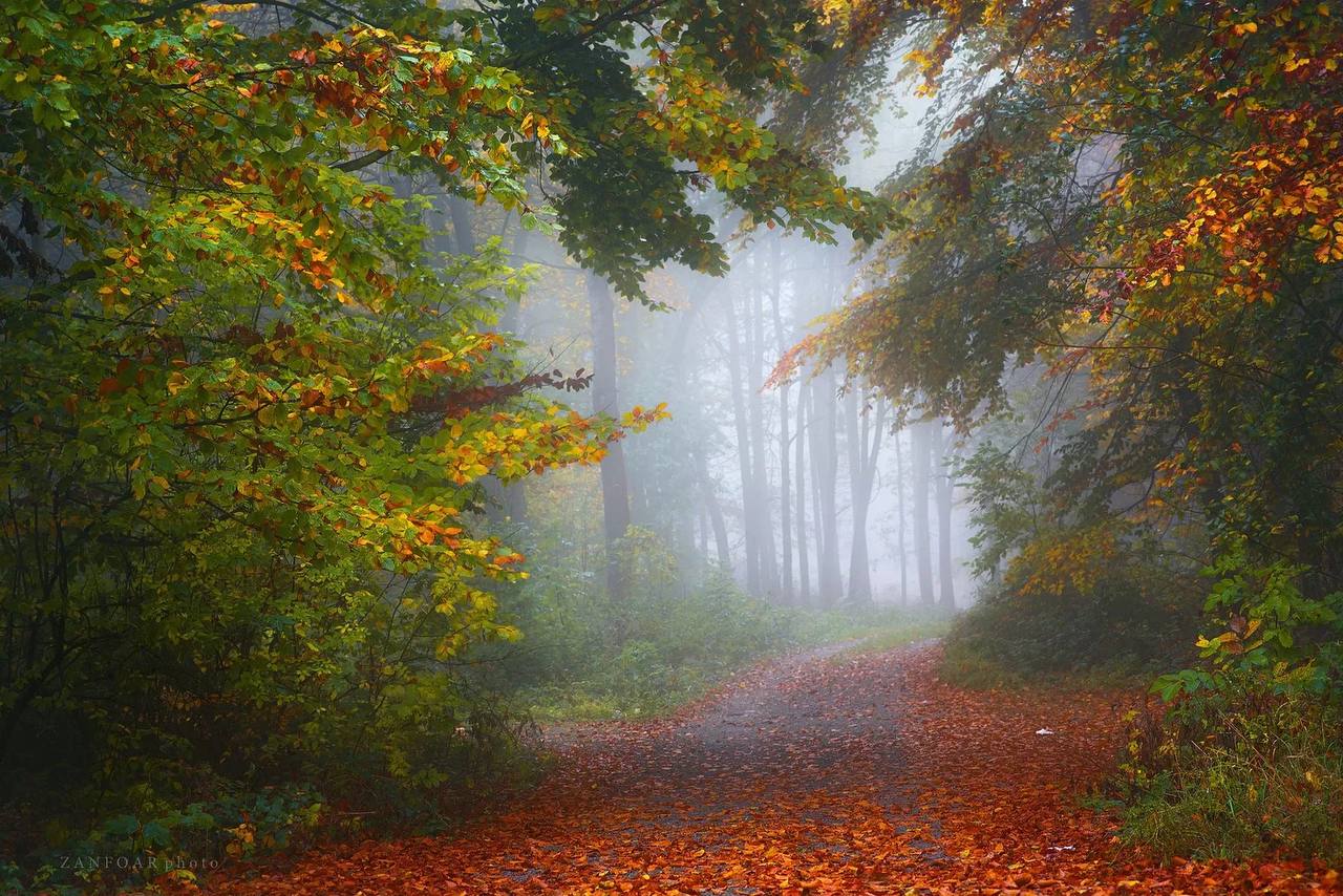 По данным Гидрометцентра 04.11.2025 на территории Саратовской области облачно с прояснениями, без осадков