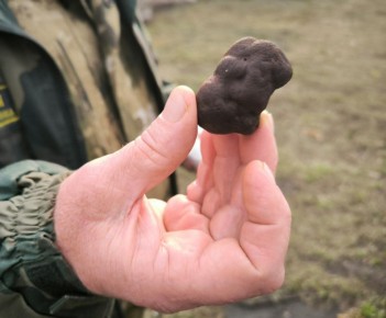 Главное в Саратовской области к этому часу: