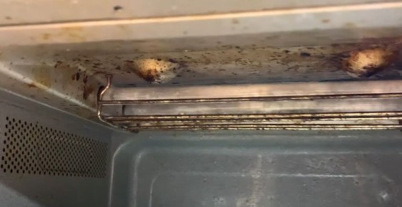 Как эффективно очистить микроволновку: народные методы и бытовая химия на страже чистоты