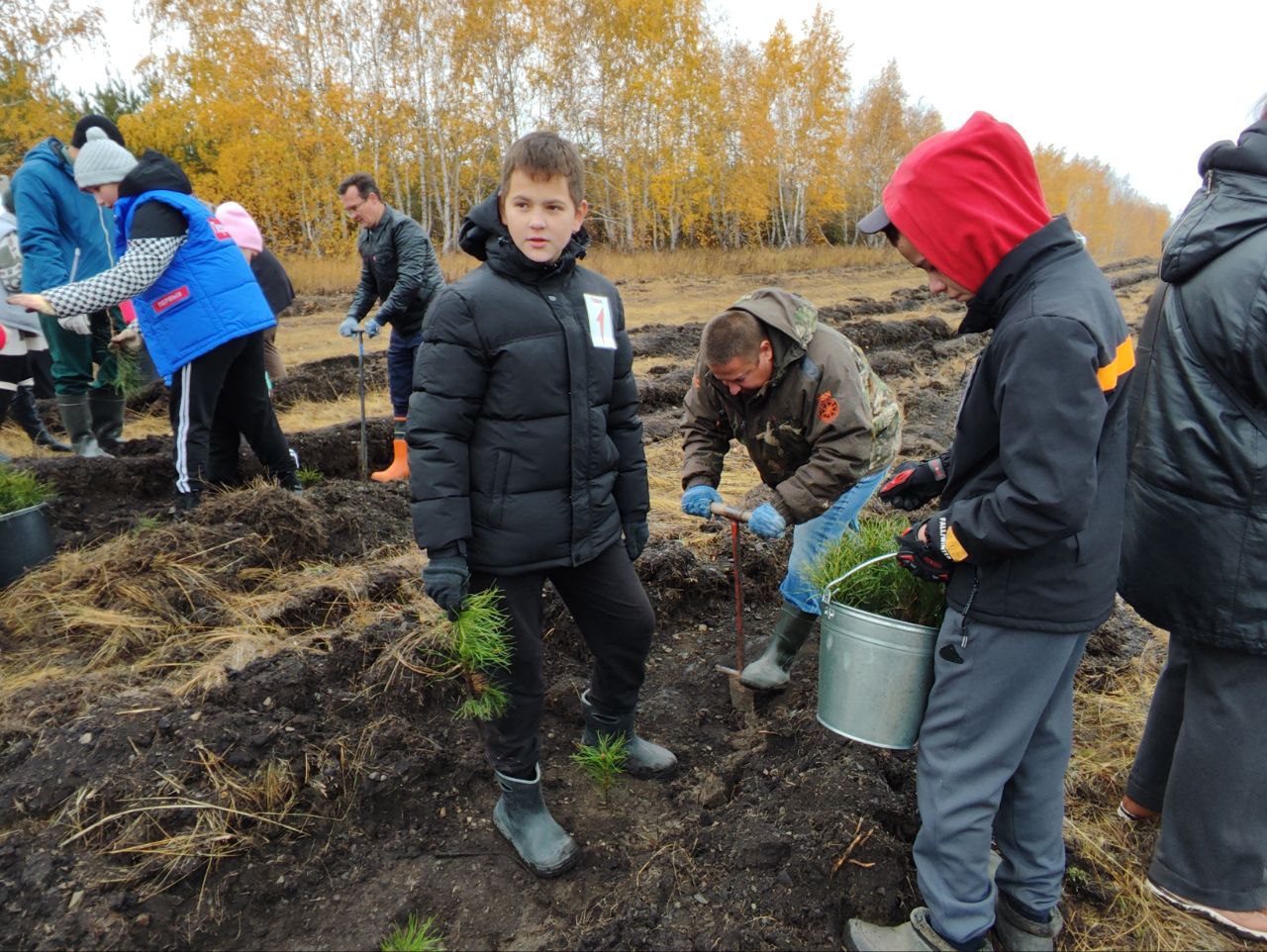 В Саратовской области в рамках экоакций высадили порядка 12 миллионов деревьев В Саратовской области в рамках экоакций высадили порядка 12 миллионов деревьев