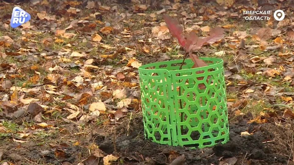 В регионах отмечают День народного единства