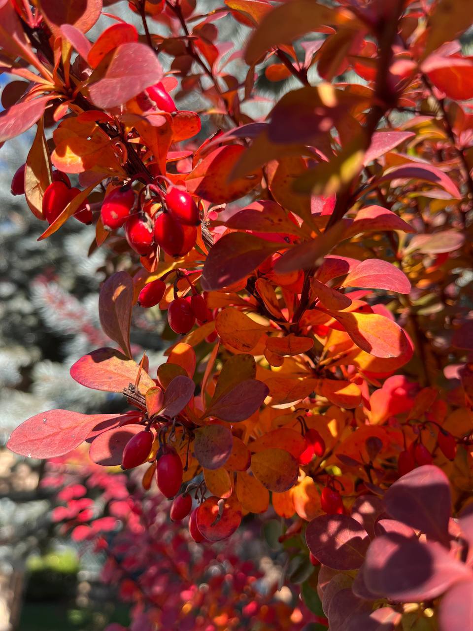 В ритме осени В ритме осени