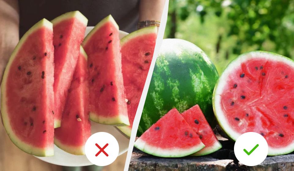 Как выбрать безопасный арбуз: советы для дачников и потребителей
