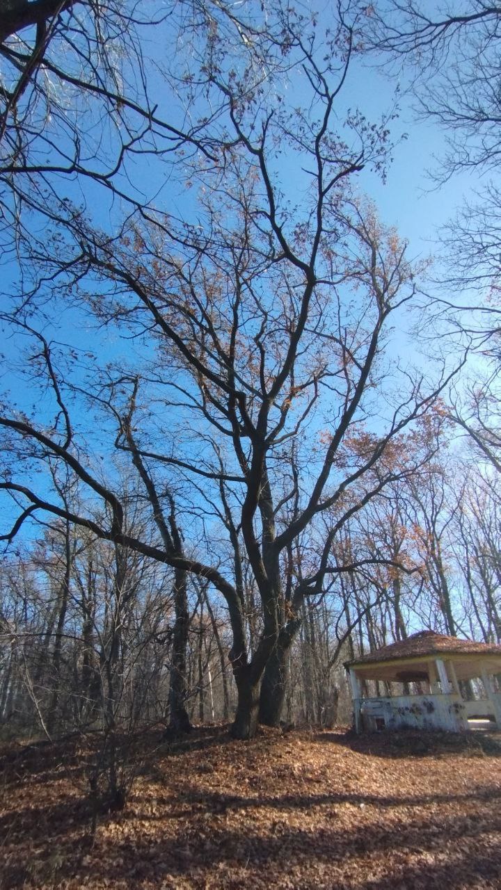 Прогноз погоды на 5 ноября 2025 года