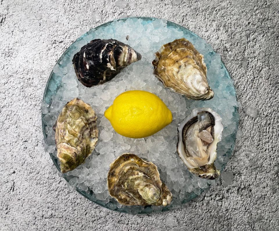 Устрицы: правда и мифы о самых обсуждаемых афродизиаках