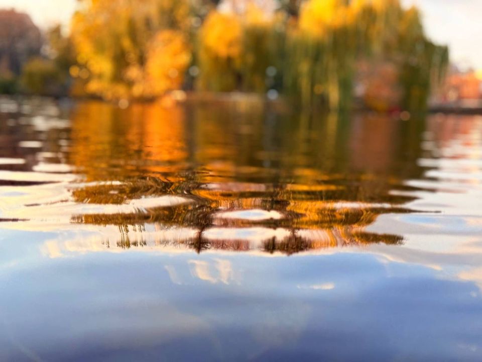 В ритме осени В ритме осени