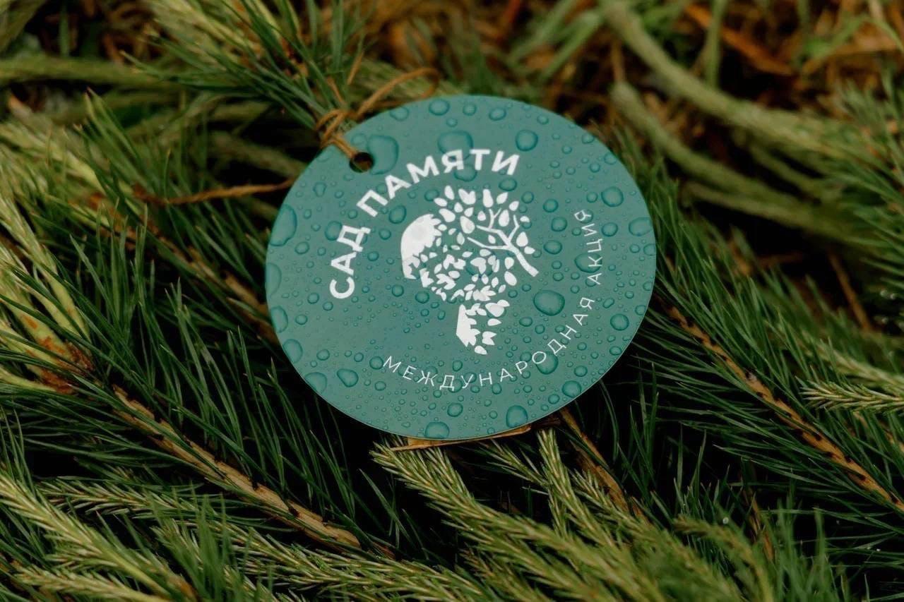 В Саратовской области в рамках экоакций высадили порядка 12 миллионов деревьев В Саратовской области в рамках экоакций высадили порядка 12 миллионов деревьев