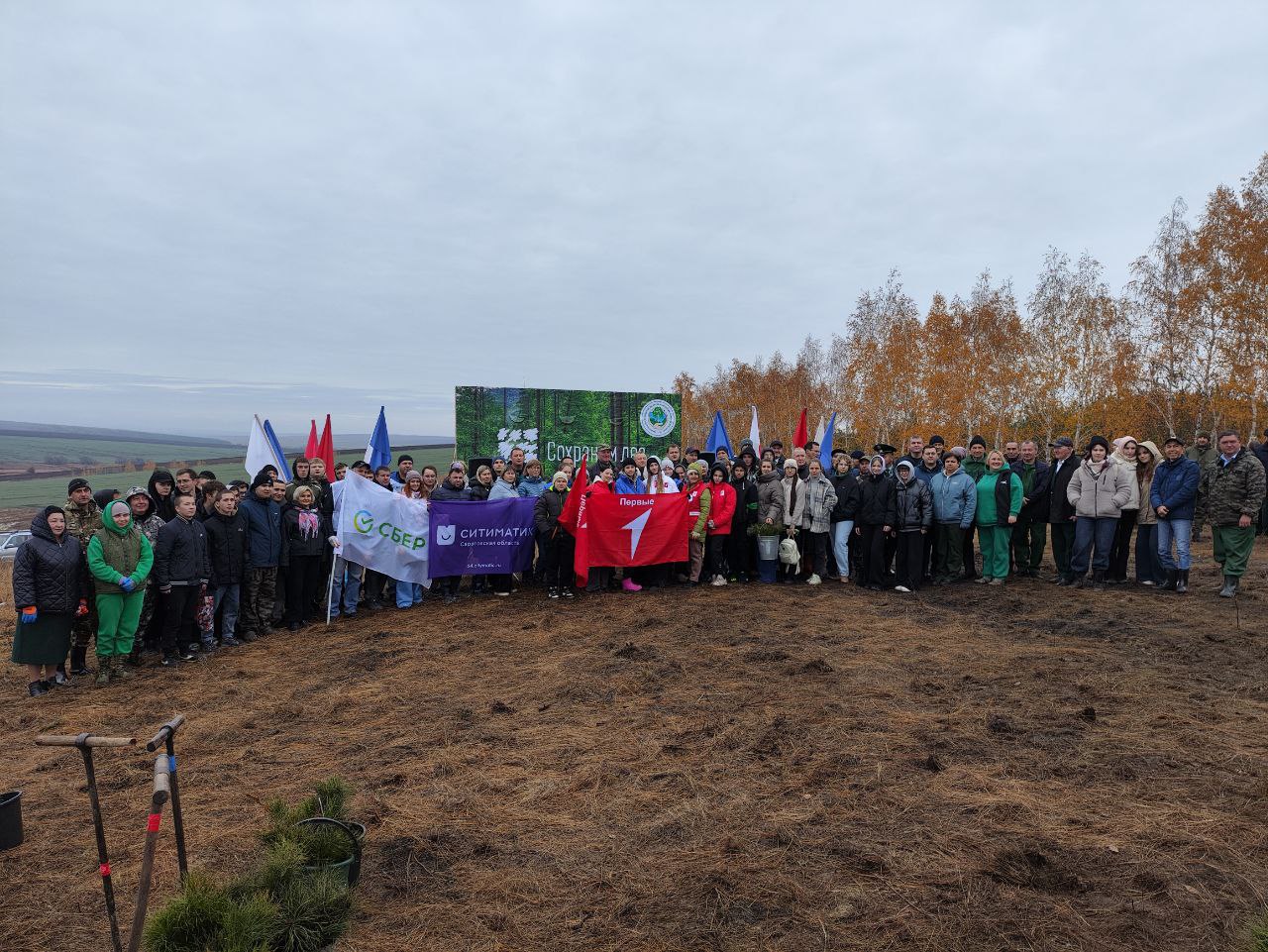 В Саратовской области в рамках экоакций высадили порядка 12 миллионов деревьев В Саратовской области в рамках экоакций высадили порядка 12 миллионов деревьев