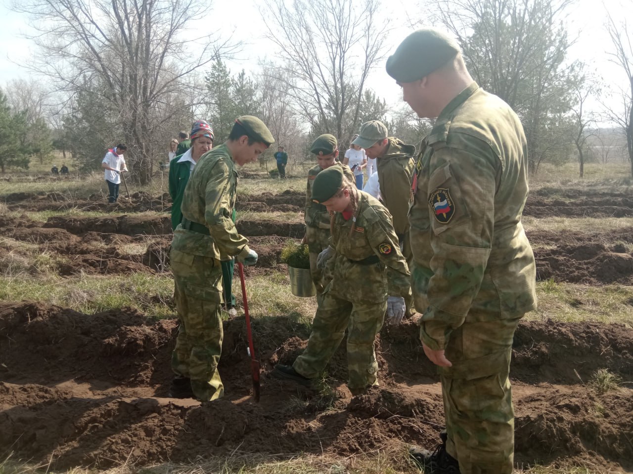 В Саратовской области в рамках экоакций высадили порядка 12 миллионов деревьев В Саратовской области в рамках экоакций высадили порядка 12 миллионов деревьев