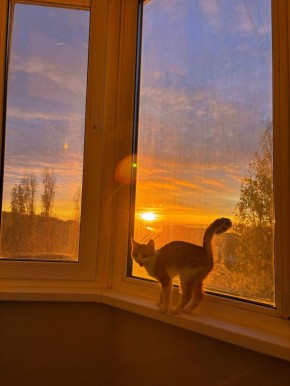 Сегодня 4 октября — вторник