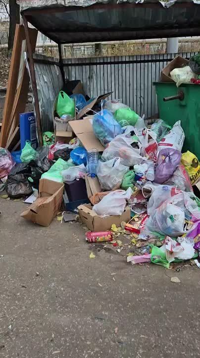 Саратовцы вновь жалуются на заполненные мусорные баки