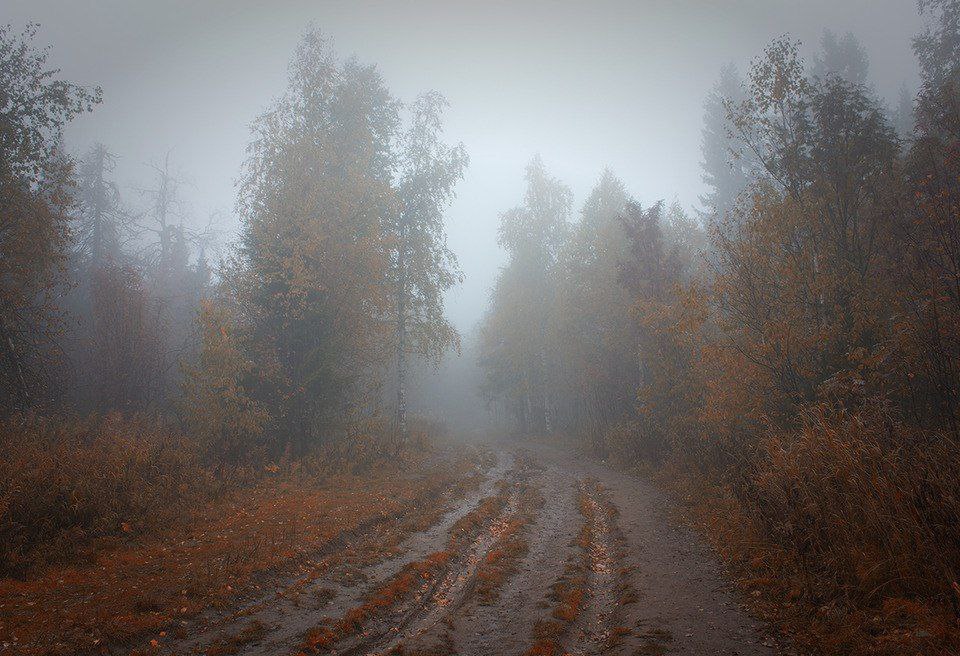 По данным Гидрометцентра 06.11.2025 на территории Саратовской области ожидается облачная погода с прояснениями