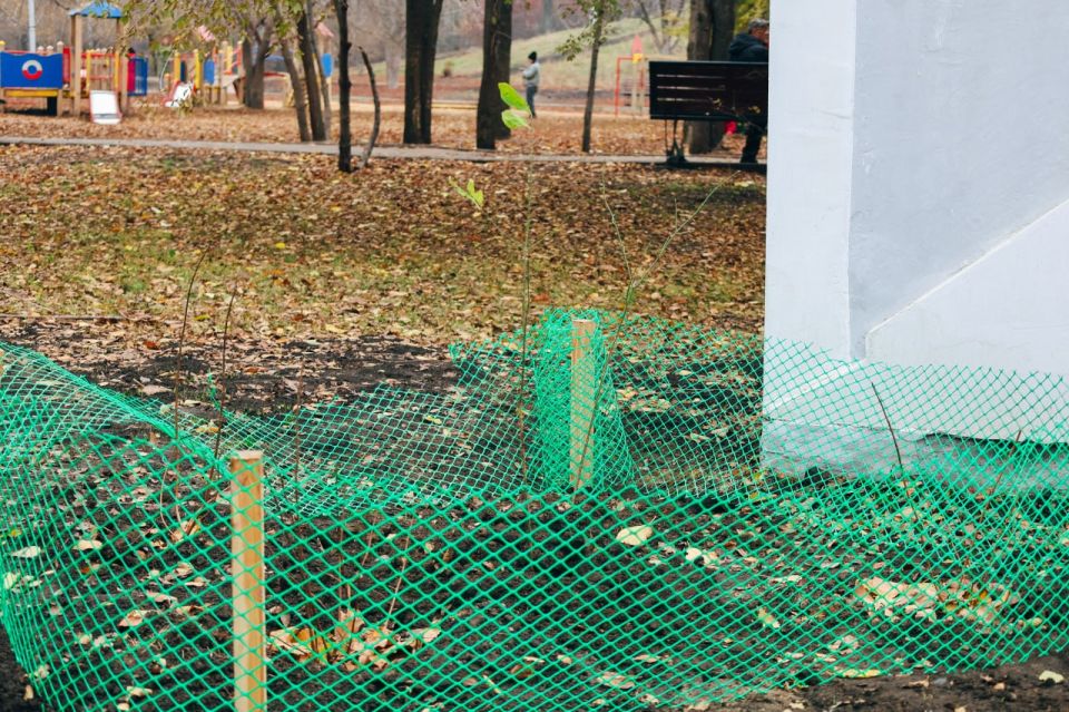 В парке «Территория детства» продолжаются работы по озеленению В парке «Территория детства» продолжаются работы по озеленению