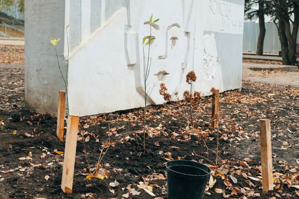 В парке «Территория детства» продолжаются работы по озеленению В парке «Территория детства» продолжаются работы по озеленению