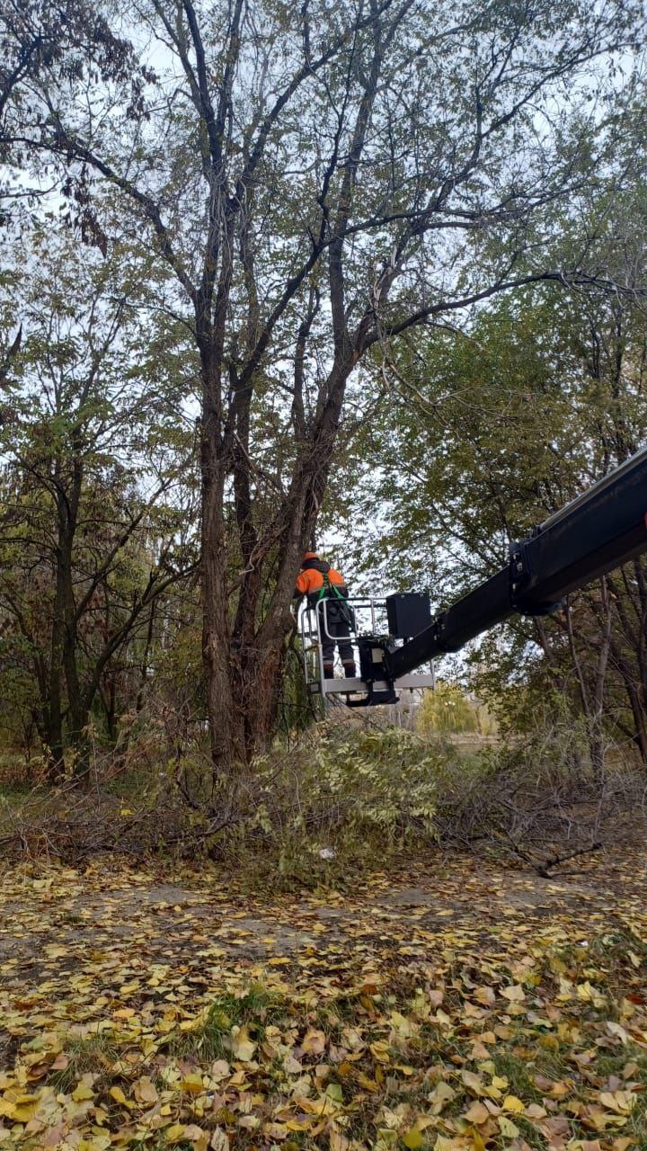 Благоустройство города Балаково ведется в ежедневном режиме