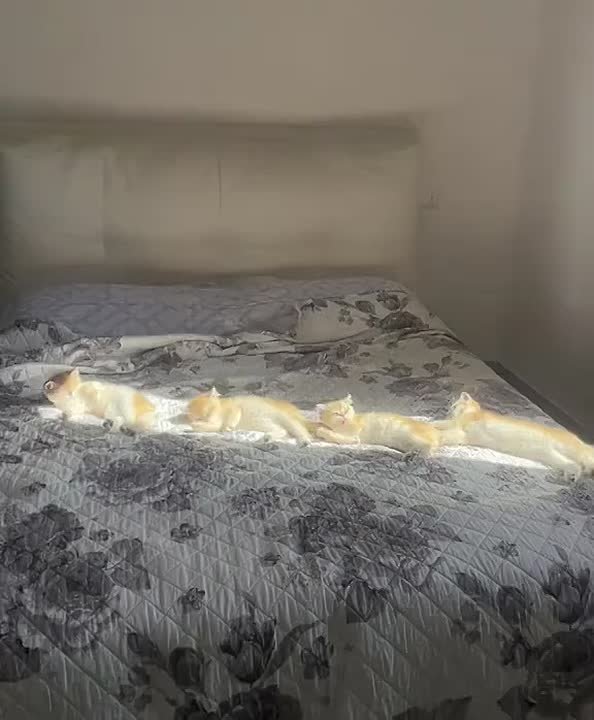 Синоптики прогнозируют потепление до +13°С