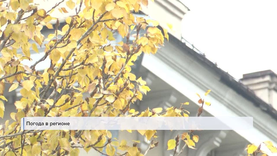 Начинаем день с самого первого выпуска «Вестей»