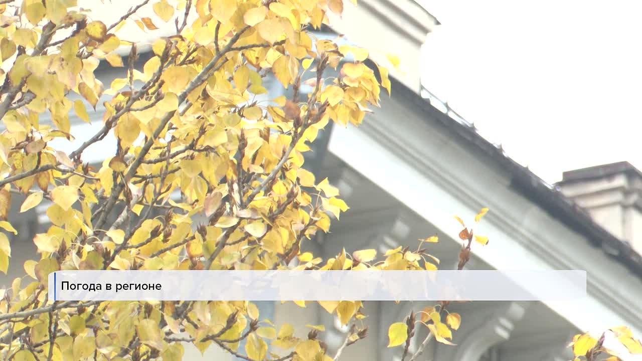 Начинаем день с самого первого выпуска «Вестей»