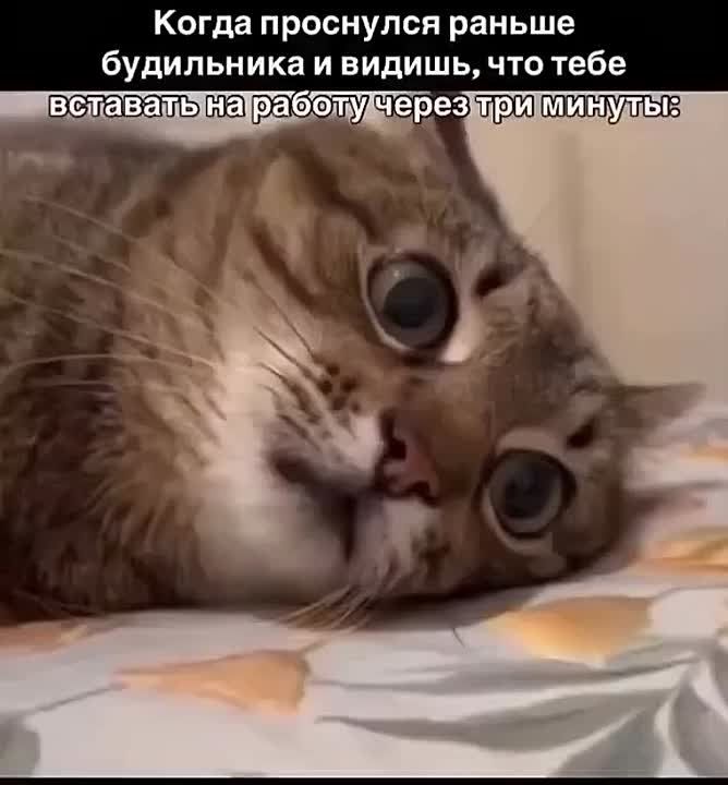 Знакомо?)