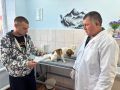 Из-за укуса клеща у Чапы выявили пироплазмоз