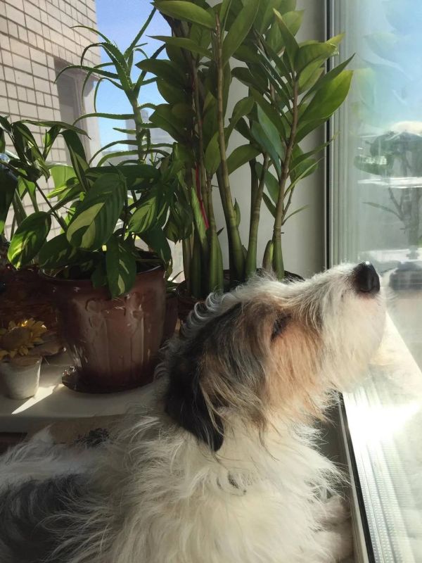 Сегодня - 6 ноября, четверг