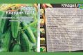 Гибрид Клавдия: секрет успеха среди огородников