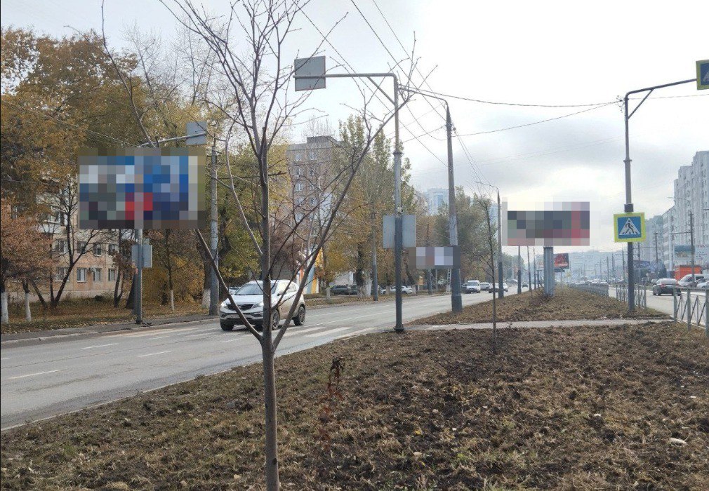 На разделительной полосе по улице Тельмана продолжается высадка деревьев и кустарников