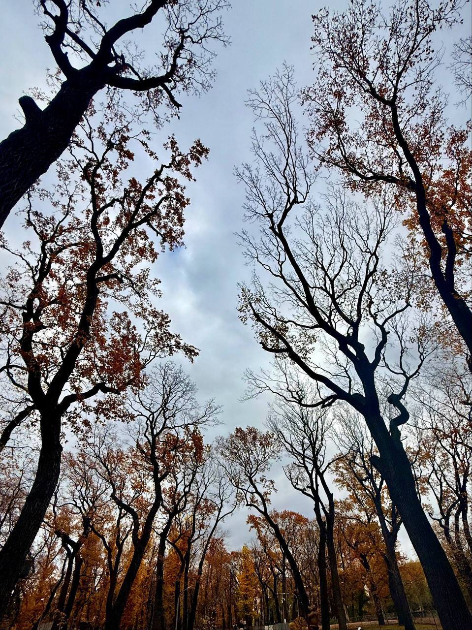 Прекрасная осенняя пора. Мэрия сообщает Прекрасная осенняя пора. Мэрия сообщает