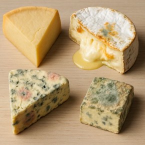 Как определить, свежий ли сыр: главные нюансы порчи и советы по хранению