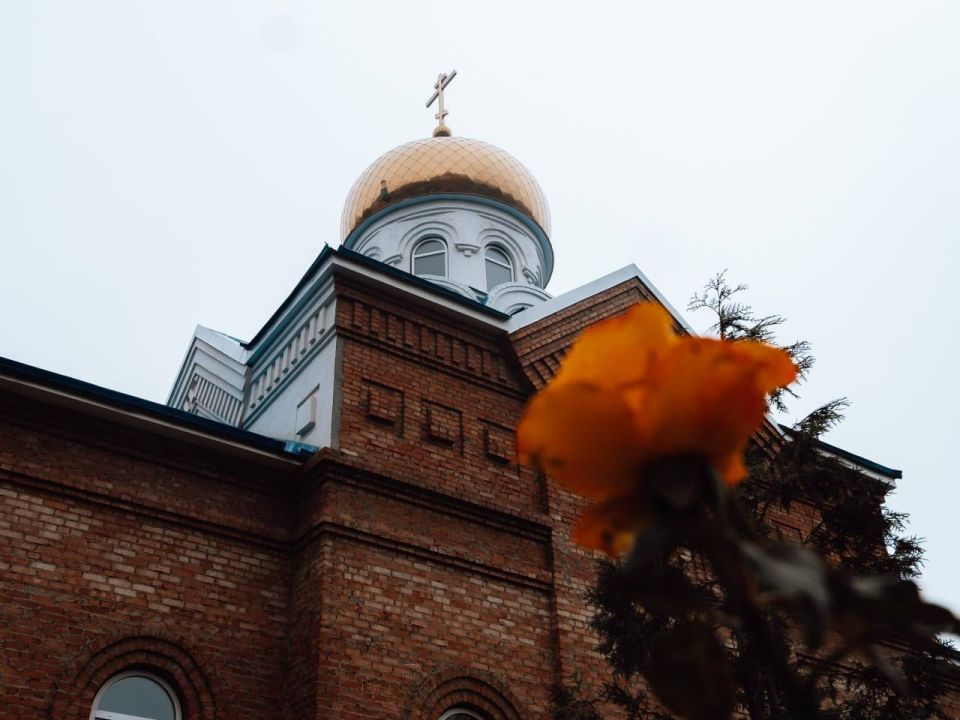 Прекрасная осенняя пора. Мэрия сообщает