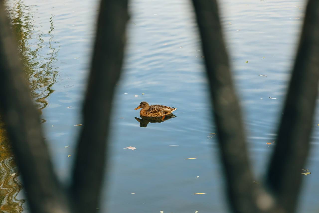 Осень не перестает удивлять Осень не перестает удивлять