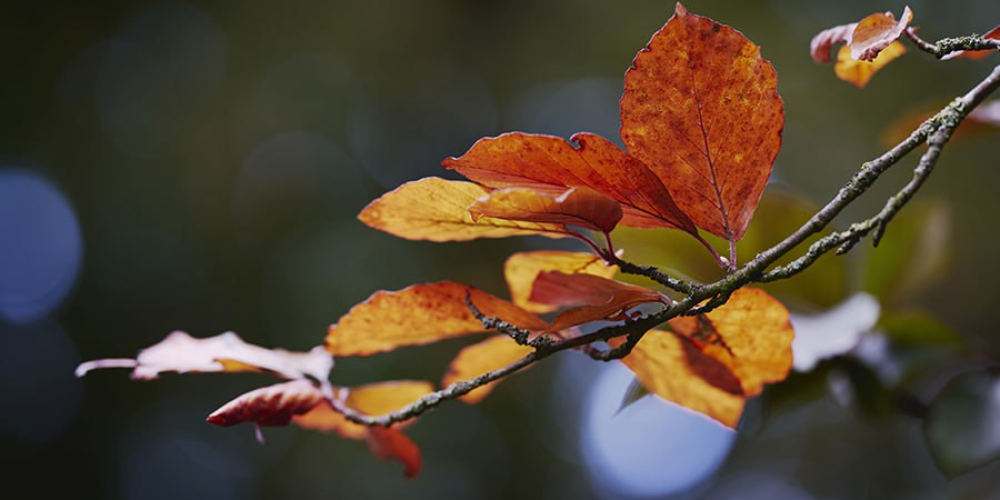 Выходные в Саратовской области будут теплыми и со слабыми дождями