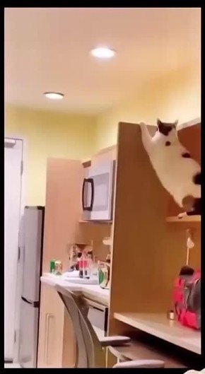 Заметных изменений погоды на выходных саратовцам ожидать не стоит