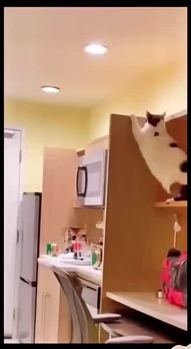 Заметных изменений погоды на выходных саратовцам ожидать не стоит