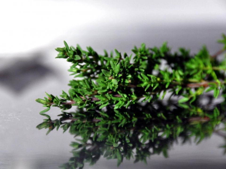 Как высушить травы и удивить соседей: секреты домашней кулинарии