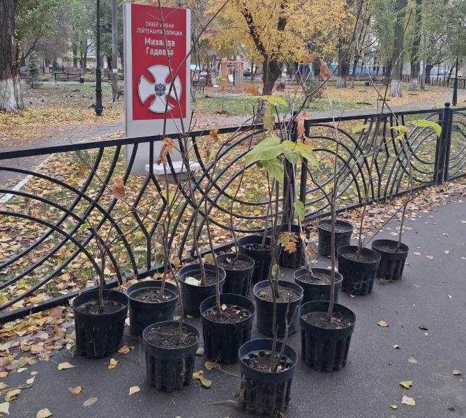 Полицейские и ветераны приняли участие в памятном мероприятии в сквере имени лейтенанта полиции Михаила Гадеева Полицейские и ветераны приняли участие в памятном мероприятии в сквере имени лейтенанта полиции Михаила Гадеева