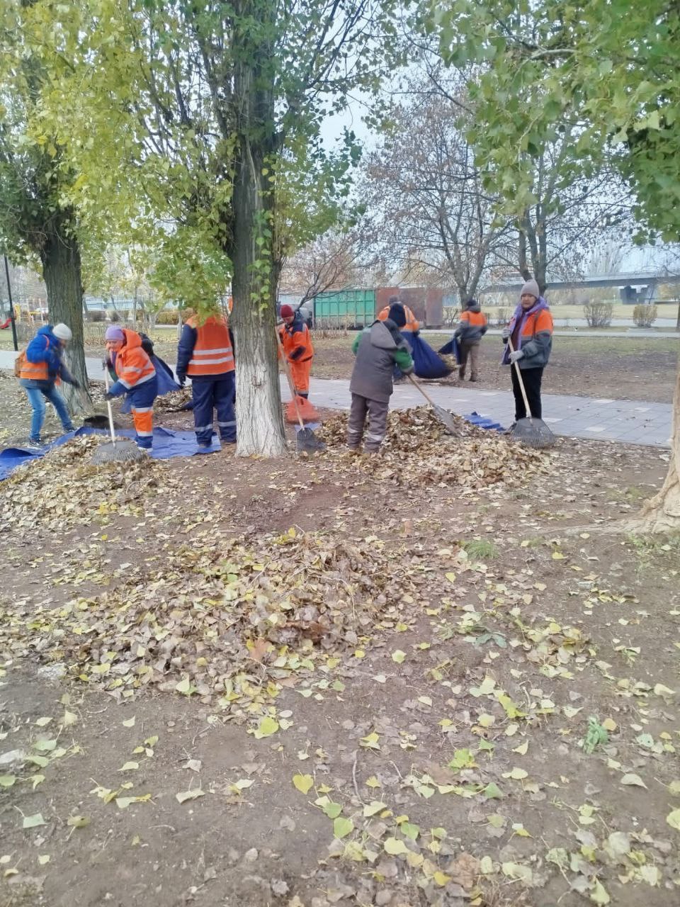 Сбор мусора, уборка под грабли, промывка СЛК Сбор мусора, уборка под грабли, промывка СЛК