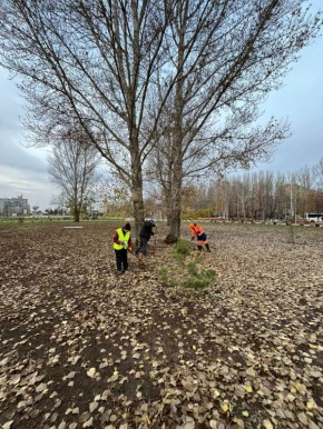 Сбор мусора, уборка под грабли, промывка СЛК
