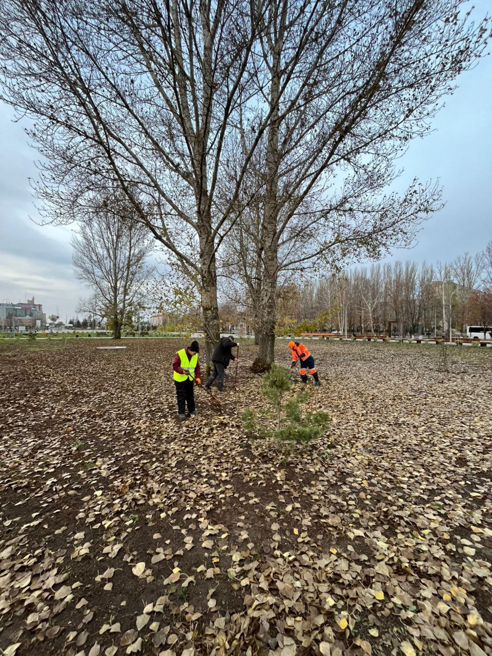 Сбор мусора, уборка под грабли, промывка СЛК