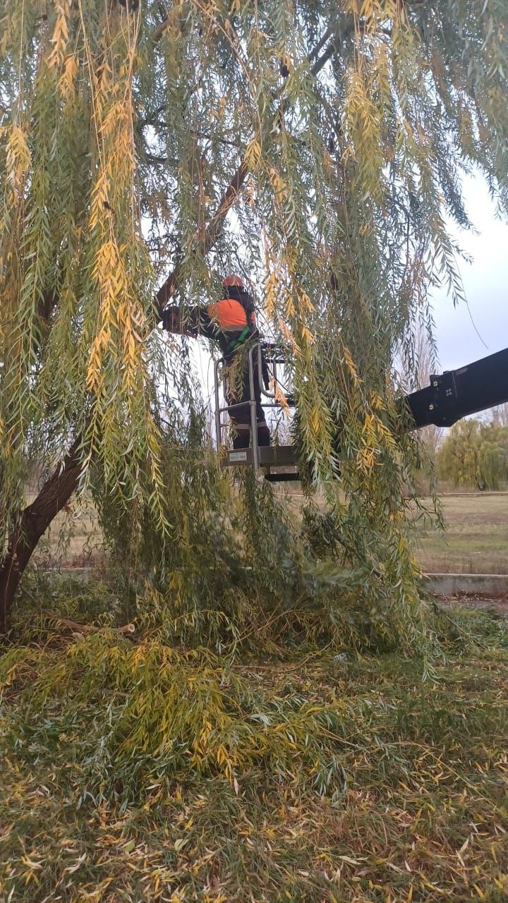 Сбор мусора, уборка под грабли, промывка СЛК Сбор мусора, уборка под грабли, промывка СЛК