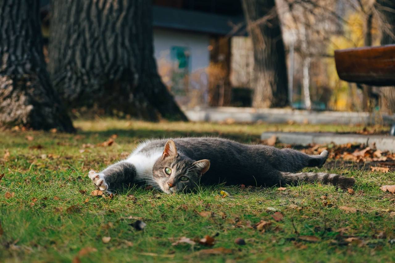 Осень не перестает удивлять Осень не перестает удивлять
