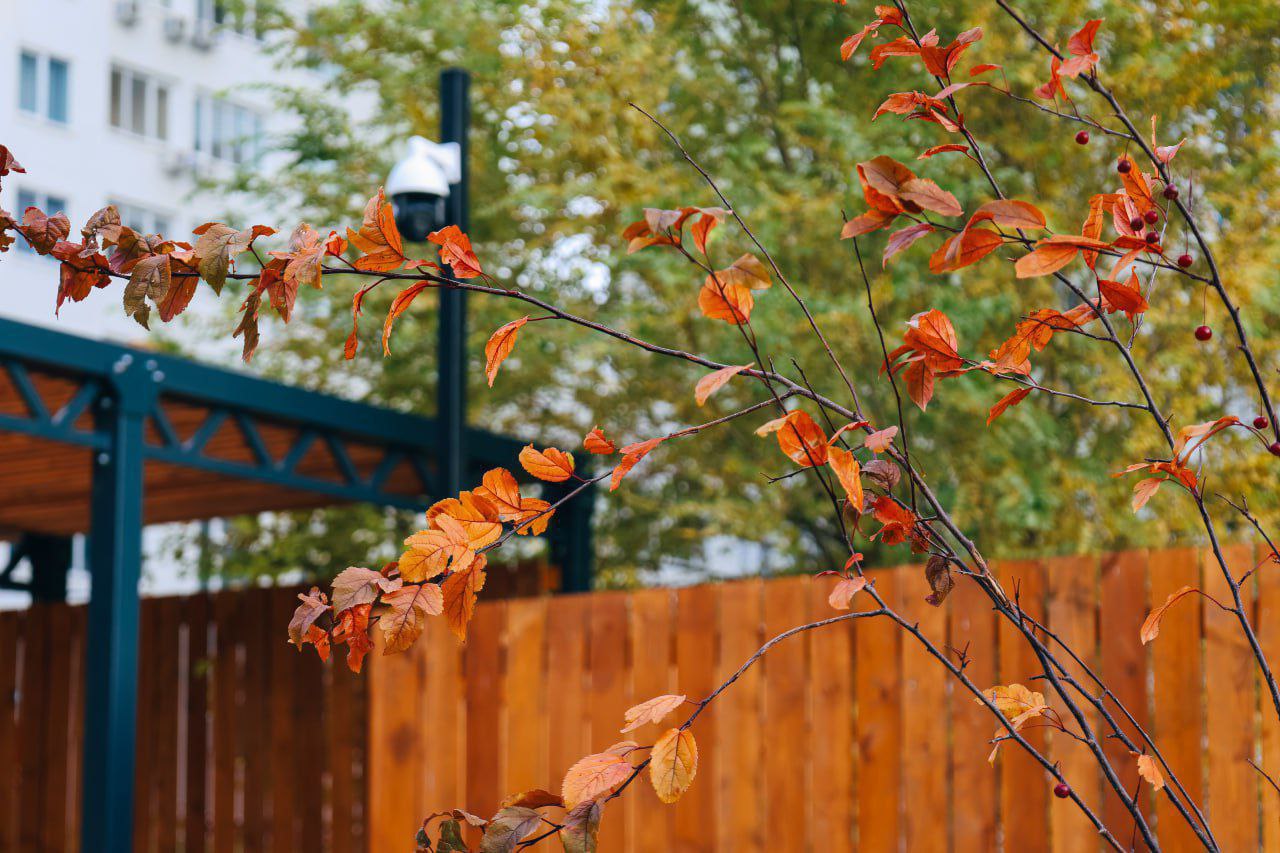 Эта особенная прощальная красота осени Эта особенная прощальная красота осени