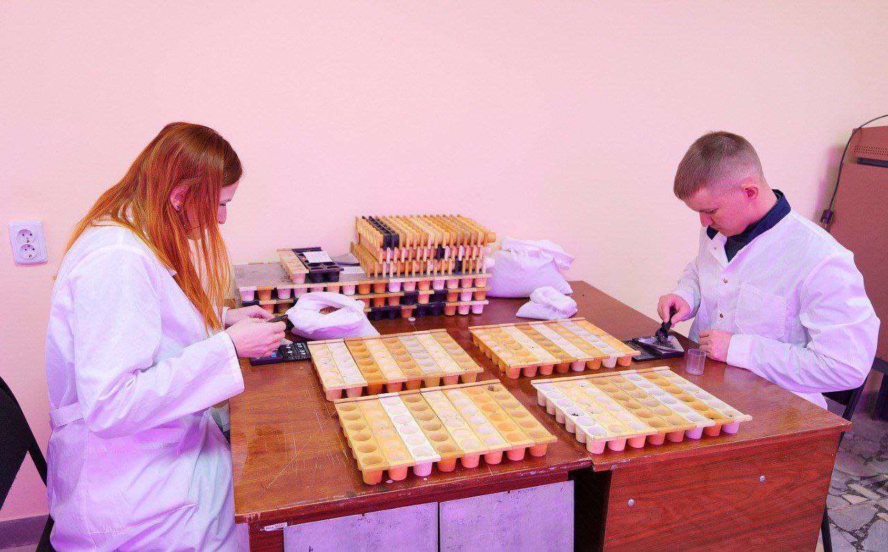 Саратовский институт Россорго – победитель Национальной премии «АГРОЛИДЕР 2025» в номинации «Производитель семян» Саратовский институт Россорго – победитель Национальной премии «АГРОЛИДЕР 2025» в номинации «Производитель семян»