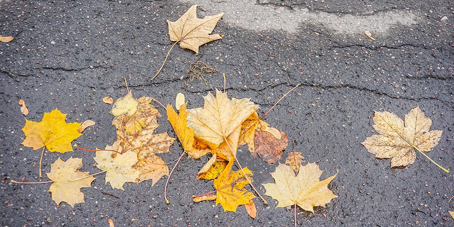 Жителей Саратовской области ожидает дождливая и аномально теплая неделя
