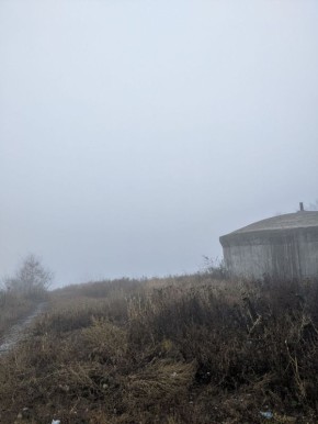   .   )   MAX |   TG |  