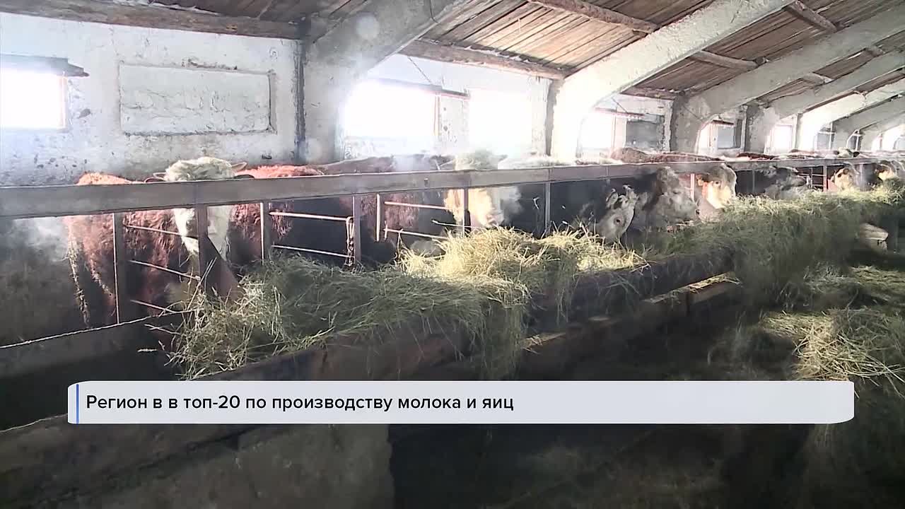 Начинаем день с самого первого выпуска «Вестей»