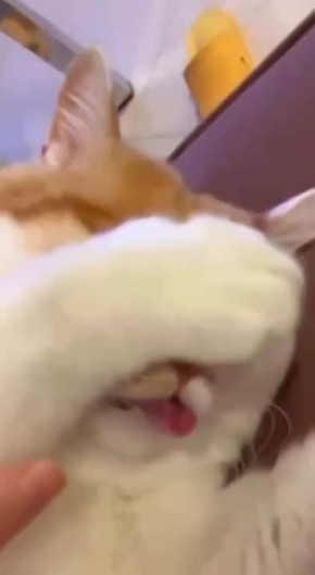 Когда утро в Саратове начинается не с кофе, а с отсутствия мобильного интернета)