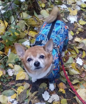 Сегодня - 13 ноября, четверг