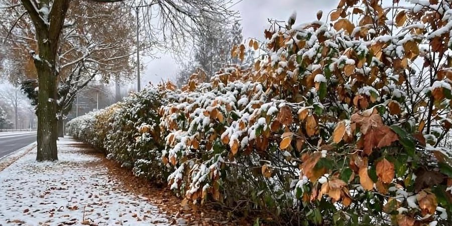 К Саратовской области подступает зима: гололед, дожди со снегом и похолодание